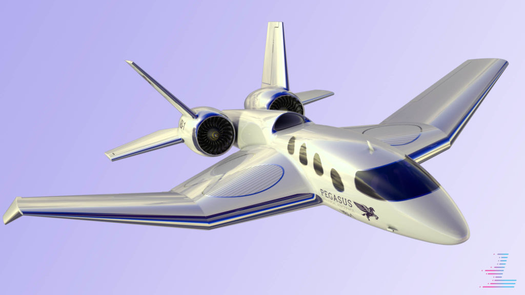 Pengasius Vertical Business Jet